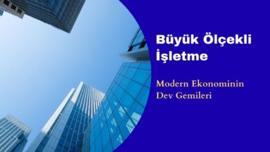 Büyük Ölçekli İşletme