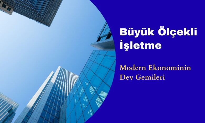 Büyük Ölçekli İşletme