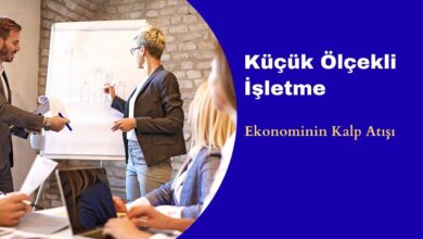 Küçük Ölçekli İşletme