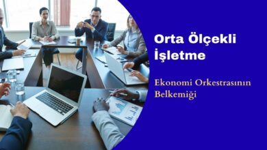 Orta Ölçekli İşletme