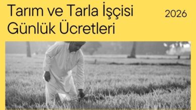 2026 Tarım ve Tarla İşçisi Günlük Ücretleri belli oldu
