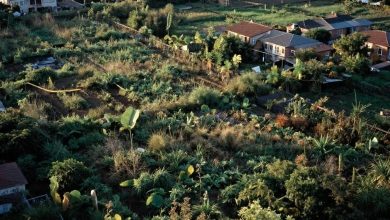 Resmî Gazete’de Yayımlandı: Bu İllerdeki 54 Arsa Özelleştirilecek