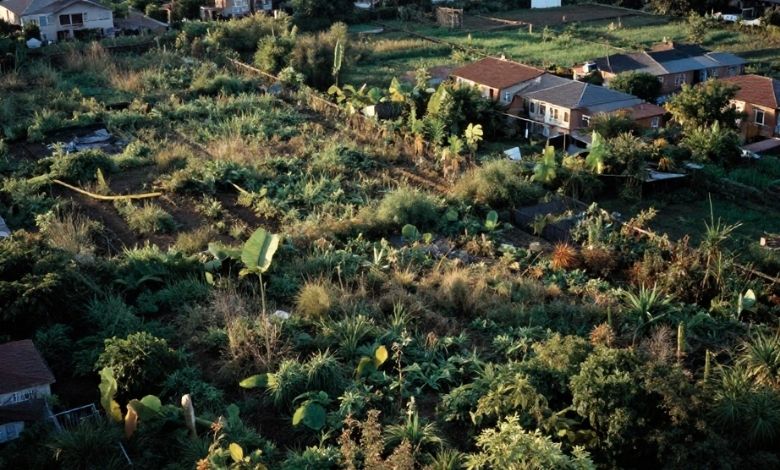 Resmî Gazete’de Yayımlandı: Bu İllerdeki 54 Arsa Özelleştirilecek